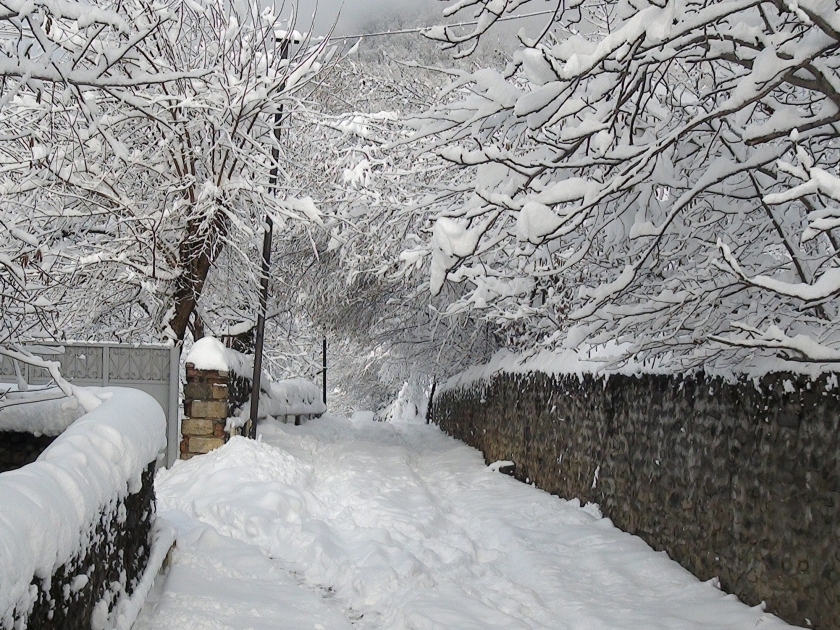Bakı və Abşeron yarımadasına qar yağır - FAKTİKİ HAVA