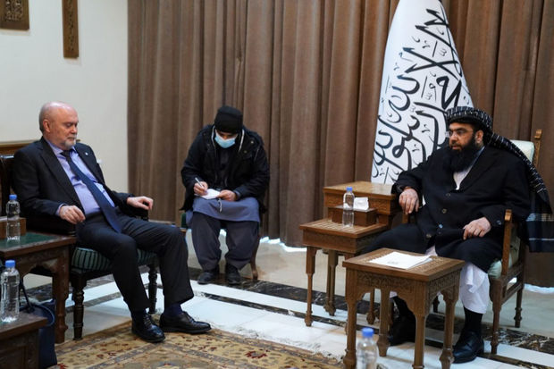 BMT: “Heç kim “Taliban”ı devirmək fikrində deyil”