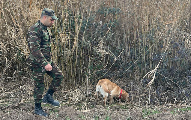 11 yaşlı Rasimin axtarışlarından yeni - VİDEO