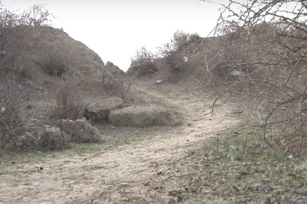 Sumqayıtda ürəktutma keçirən kişi dərəyə yuvarlandı - VİDEO