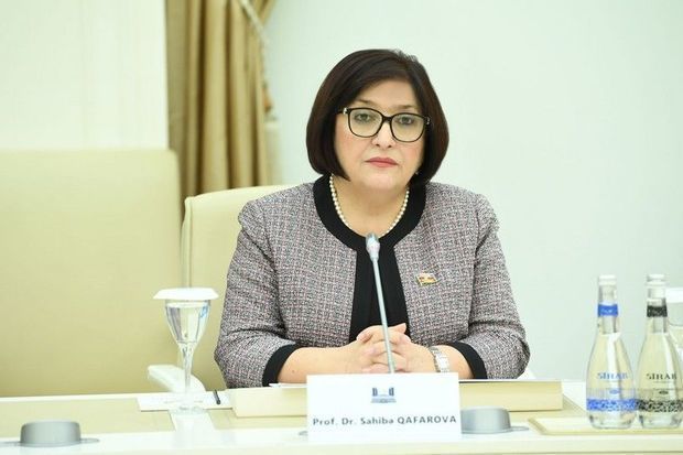 Sahibə Qafarova: “Sürücü mədəniyyəti də yoxdur...”