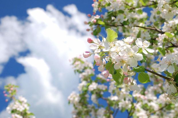 Sabahın hava proqnozu AÇIQLANDI