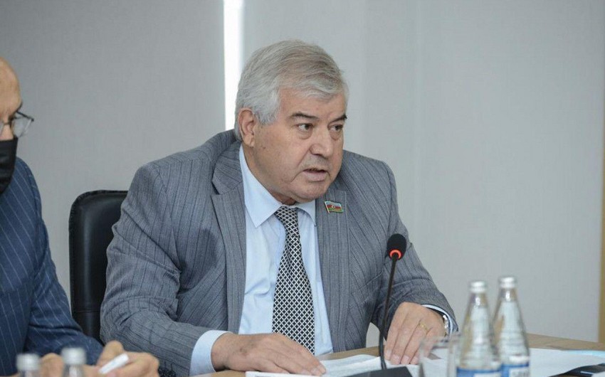 Sabir Rüstəmxanlı: Azərbaycanda gənc qızlar ana olmaq istəmirlər