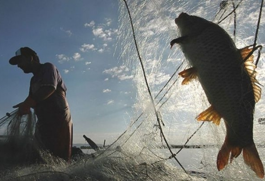 Bu gündən sentyabrın 1-dək qadağan edilir