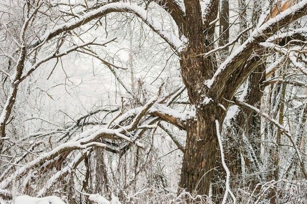 Bəzi yerlərə yağış və qar yağıb - FAKTİKİ HAVA