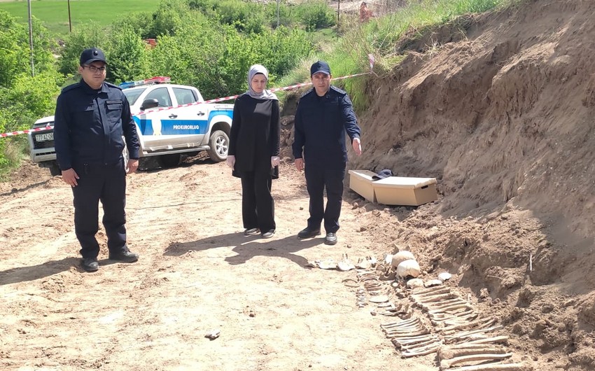 Malıbəylidə kütləvi məzarlıq aşkar edilib - FOTOLAR