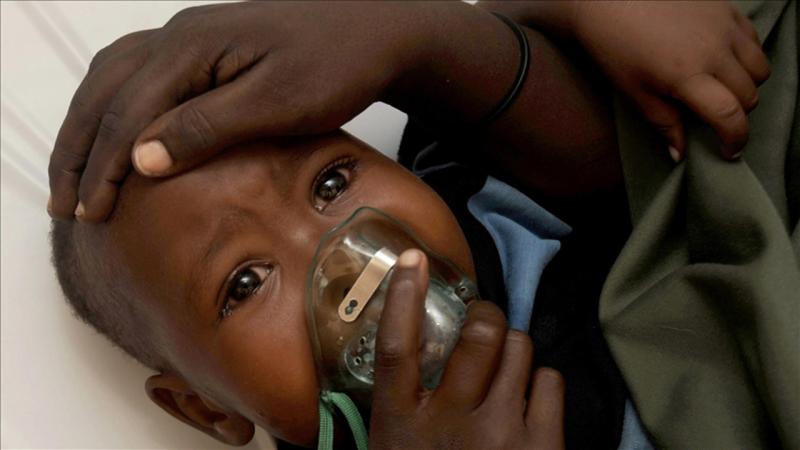 Nigeriyada "Lassa" epidemiyası yüzlərlə insanın həyatına son qoydu
