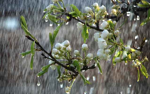 Hava kəskin dəyişir - XƏBƏRDARLIQ