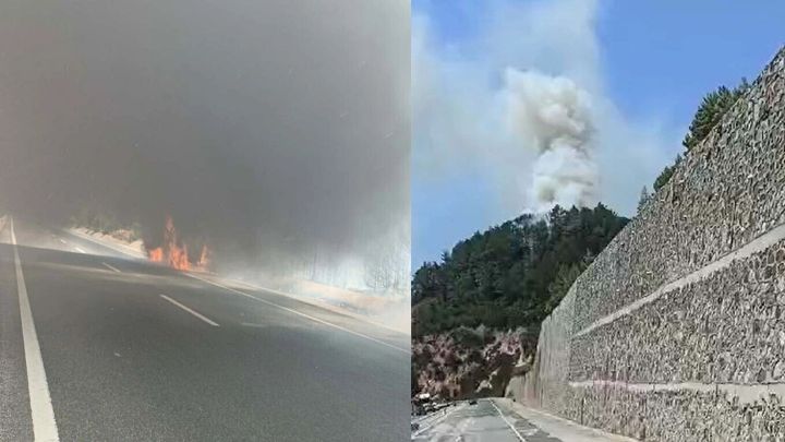 Avtobusda baş verən yanğın meşəyə keçdi