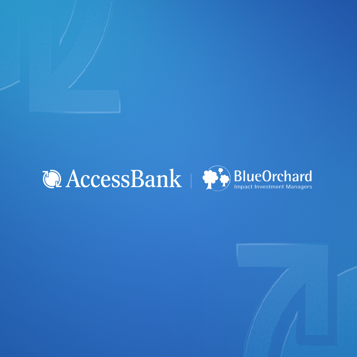 AccessBank  BlueOrchard Fondundan $8 mln kredit cəlb edib