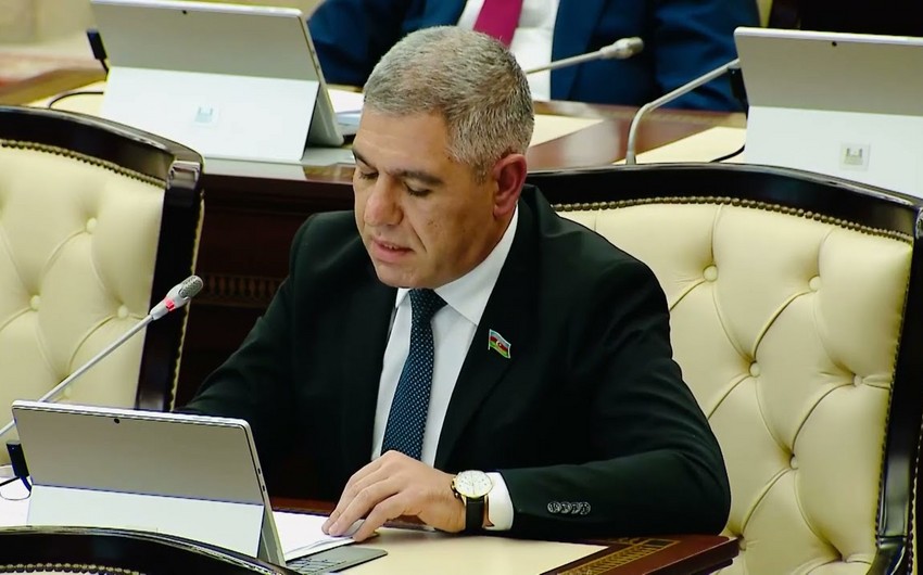 "Kredit borcu olanların ölkədən çıxa bilməməsi problemli kreditləri azaltmayacaq"