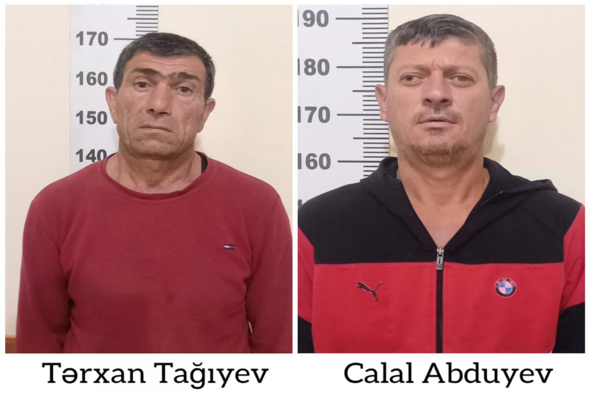 Yevlaxda 592 ədəd çətənə kolu əkən 2 nəfər saxlanılıb