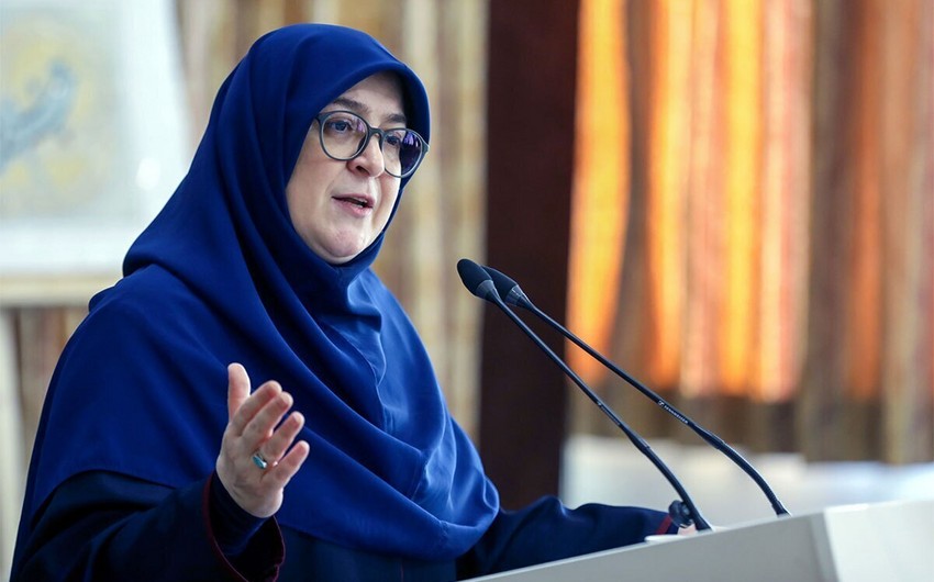 Hökumətin sözçüsü: İran Putinin səfərinə hazırlaşır