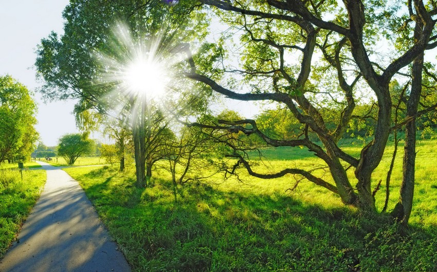 Sabahın hava proqnozu açıqlandı