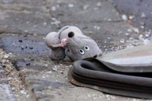 Ata ehtiyatsızlıqdan 2 yaşlı qızını maşınla vurdu