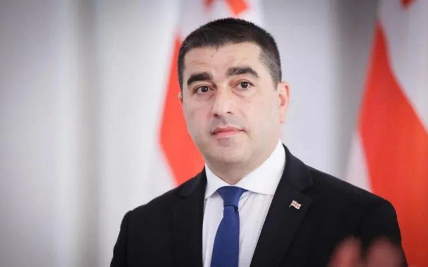 Papuaşvili: Baltikyanı ölkələr artıq açıq şəkildə gürcü xalqına qarşı çıxış edirlər
