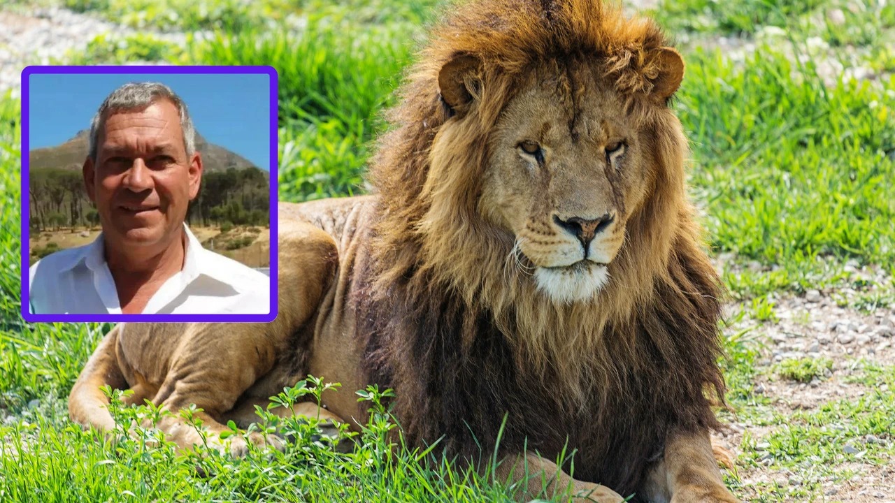 Safari tətilində olan almaniyalı iş adamını aslan parçaladı