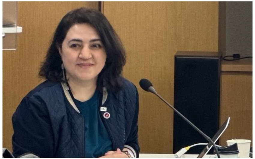 AzTU-nun Yüksək Təhsil İnstitutuna yeni direktor təyin olunub