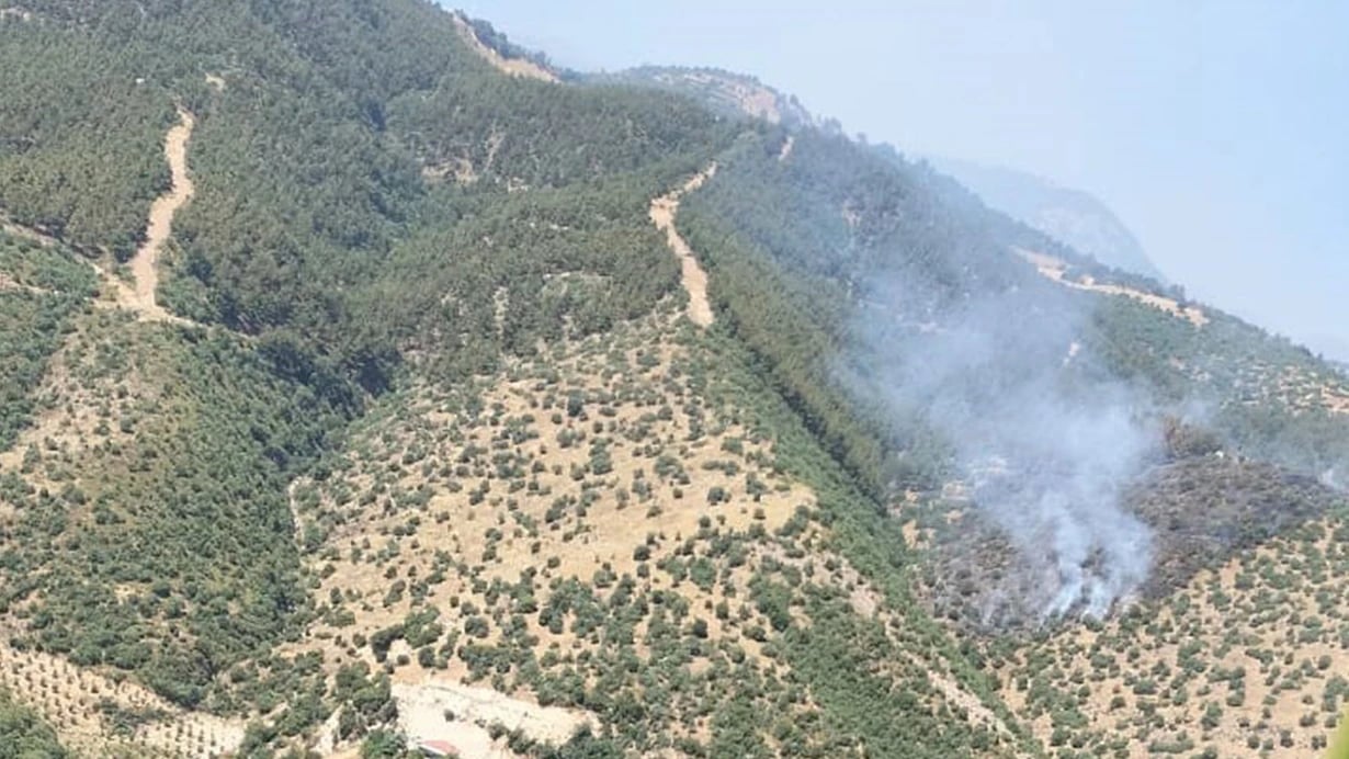 Manisada meşə yanğını BAŞLADI
