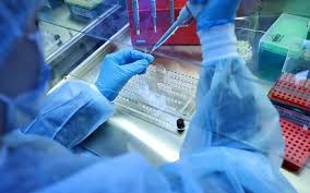 Çində iki yeni ölümcül virus aşkarlanıb