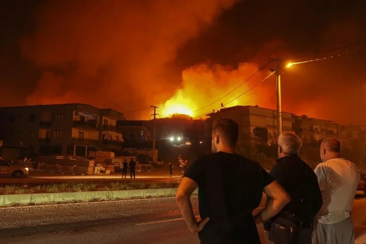 Türkiyədə son 5 gündə 342 meşə yanğını baş verib