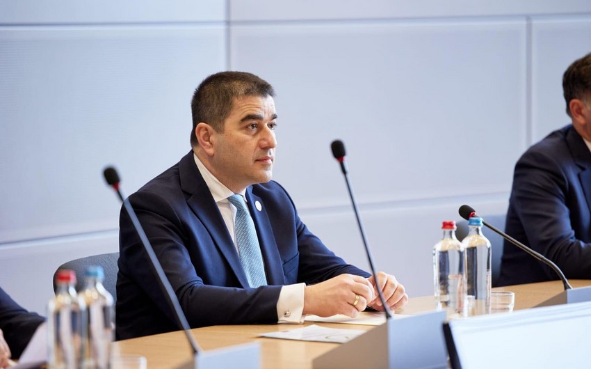 Şalva Papuaşvili: Saakaşvili əfv edilməyəcək