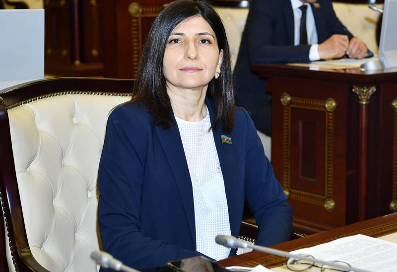 Sevil Mikayılova: “Abu-Dabidə keçiriləcək görüş dayanıqlı sülhə doğru böyük addımdır”