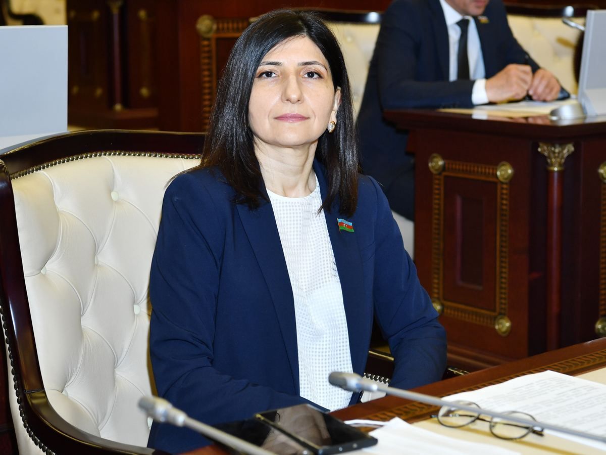 Sevil Mikayılova: “Böyük Qayıdış proqramı uğurla icra olunur”