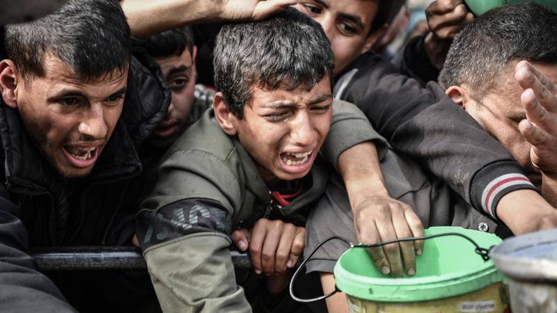 Dünya Ərzaq Proqramı: Qəzza əhalisinin üçdə biri bir neçə gündür yemək yemir
