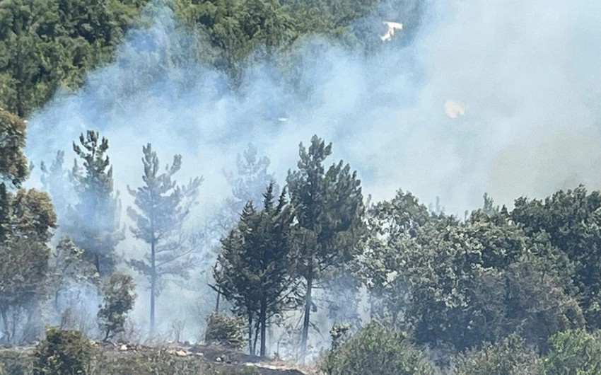 ETSN: ani ehtiyatsızlıq qarşısıalınmaz yanğınlara səbəb ola bilər
