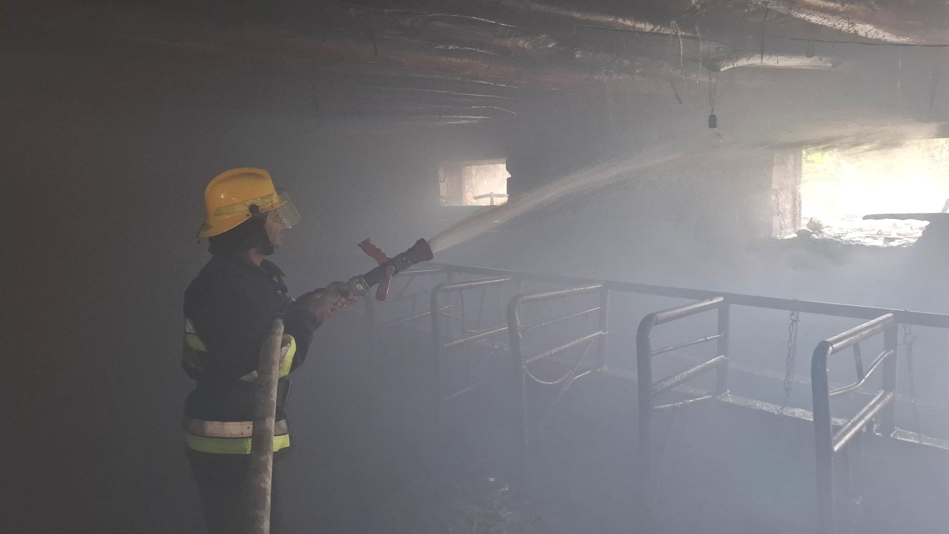 Şərurda 16.5 ton ot bağlaması yanıb