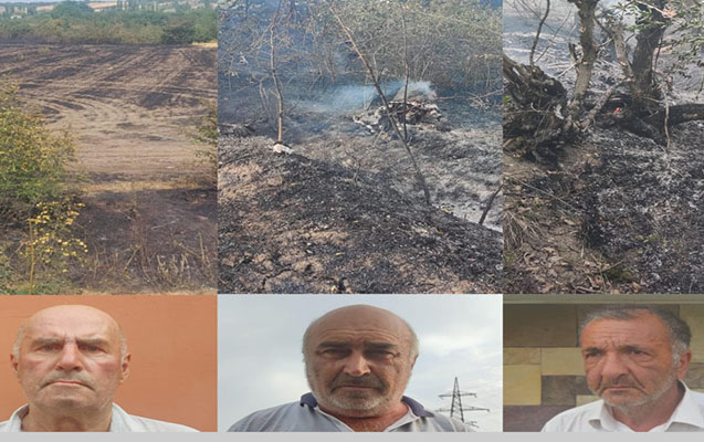 Qubada yanğın törədənlərdən biri həbs olunub, ikisi cərimələnib