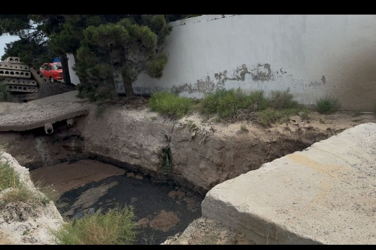 Kağız və Kardon fabrikinin fəaliyyətində pozuntular aşkarlandı