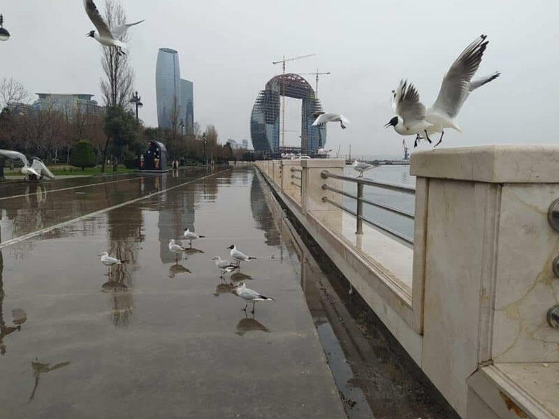 Sabah Bakıda yağış yağacaq, şimşək çaxacaq