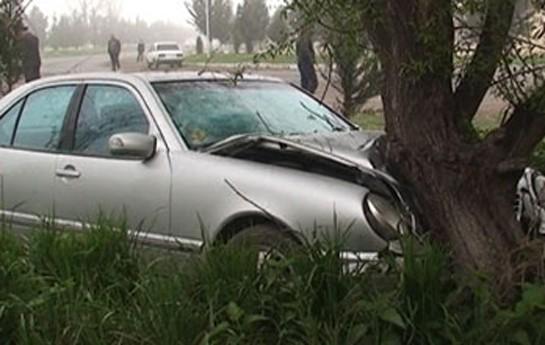 Şəkidə "Mercedes" ağaca çırpılıb, ana və iki azyaşlı övladı xəsarət alıb