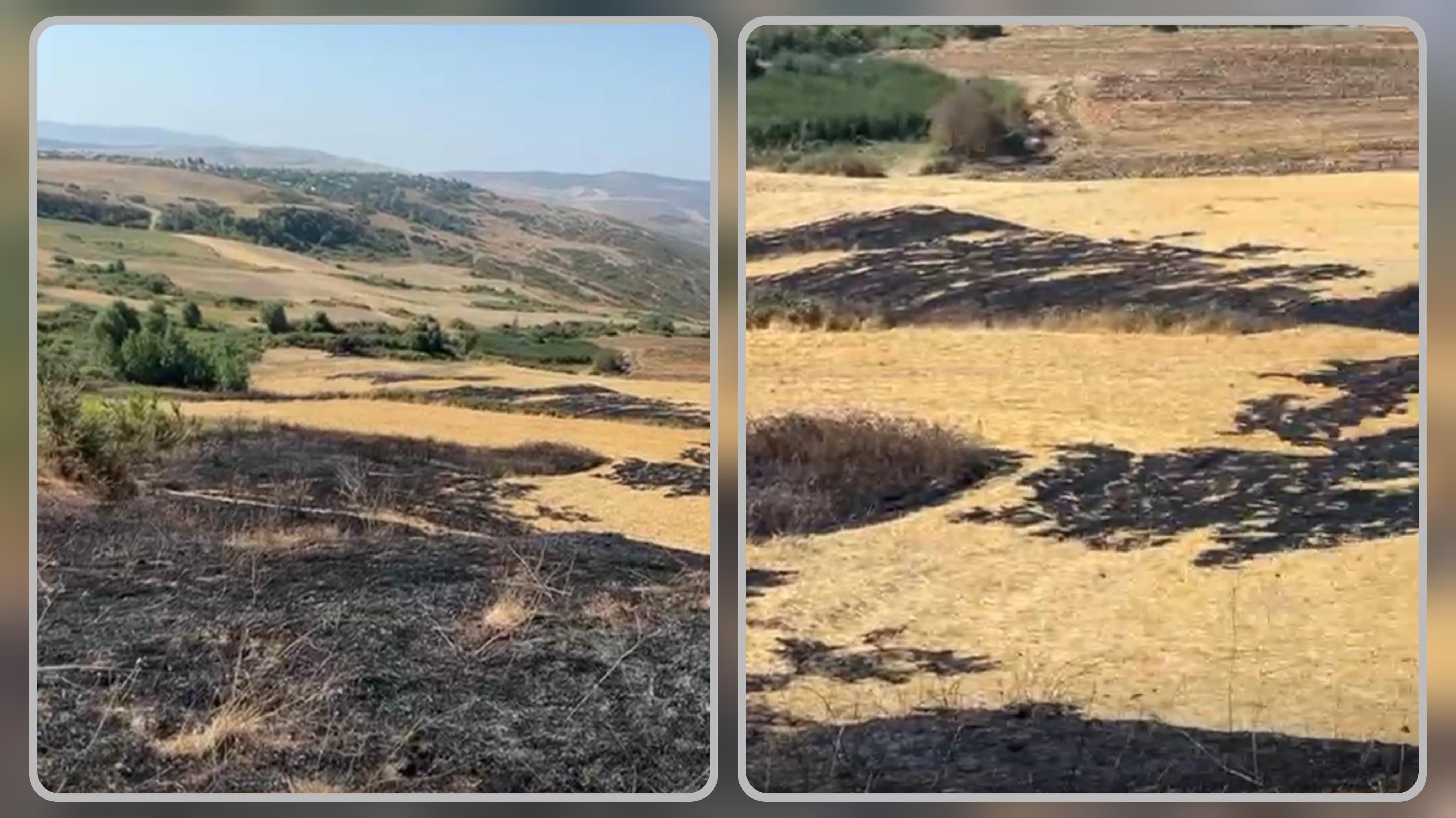Şamaxıda yanğın törədən şəxs məsuliyyətə cəlb olunub