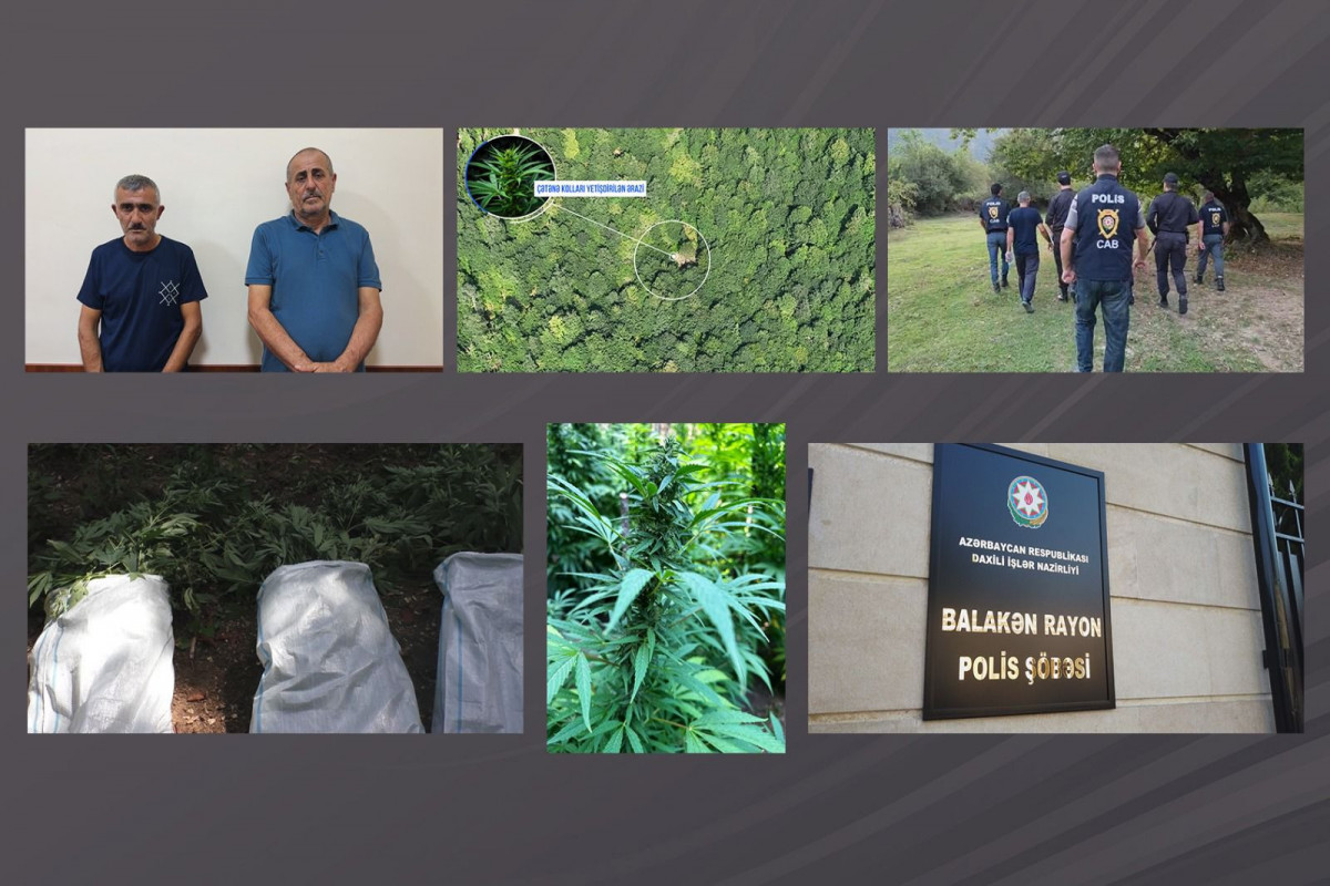Balakəndə narkotik tacirləri polisdən belə qaçmaq istədilər - ANBAAN VİDEO
