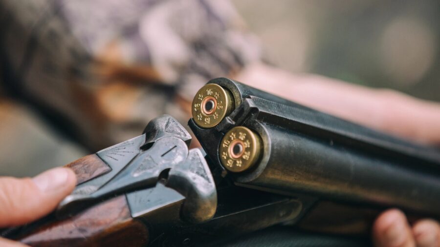 Salyanda böyürtkən yığan 62 yaşlı kişi güllələndi