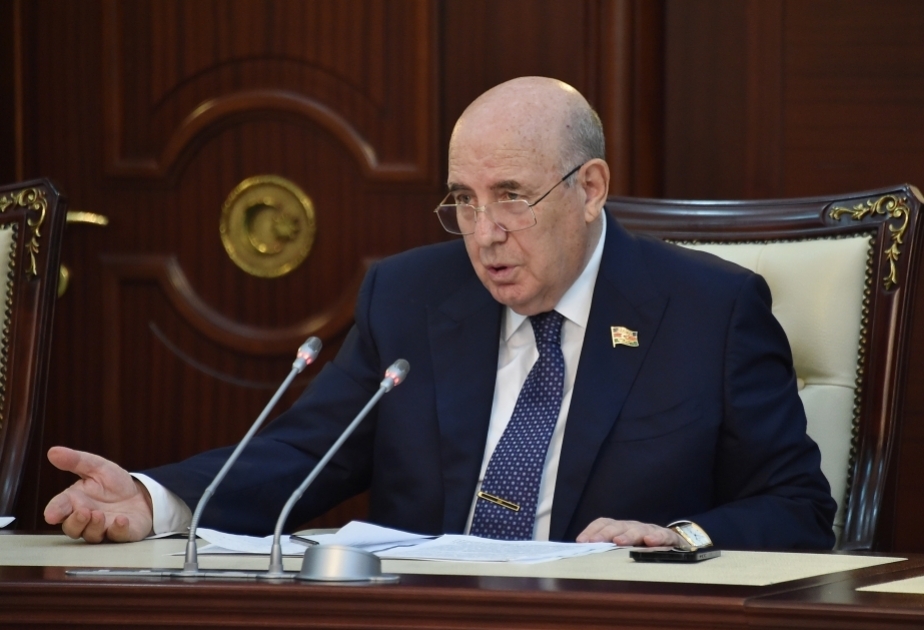 Əhliman Əmiraslanov: "Dərman vasitələri cəmiyyətimizi narahat edən məsələdir"