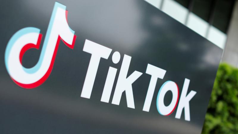 Kanadada TikTok araşdırması: Yüz minlərlə uşağın şəxsi məlumatları toplanır