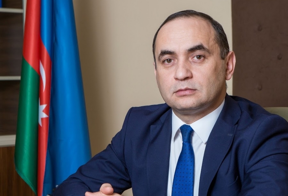 Deputat: Qanunlarda "əlilliyi olan" ifadəsini mərhələli şəkildə çıxarmalıyıq