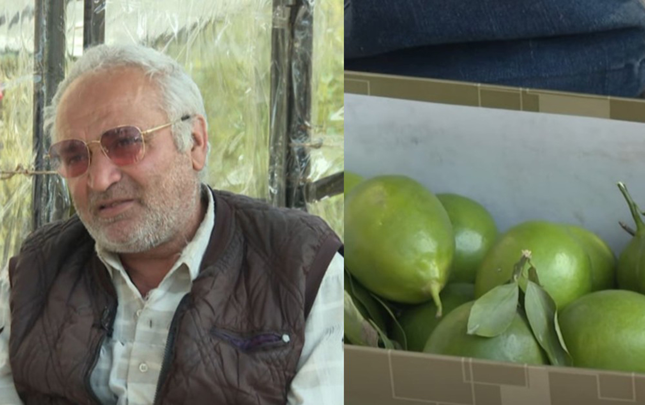 Limon satır, hesabında milyonu var - Video
