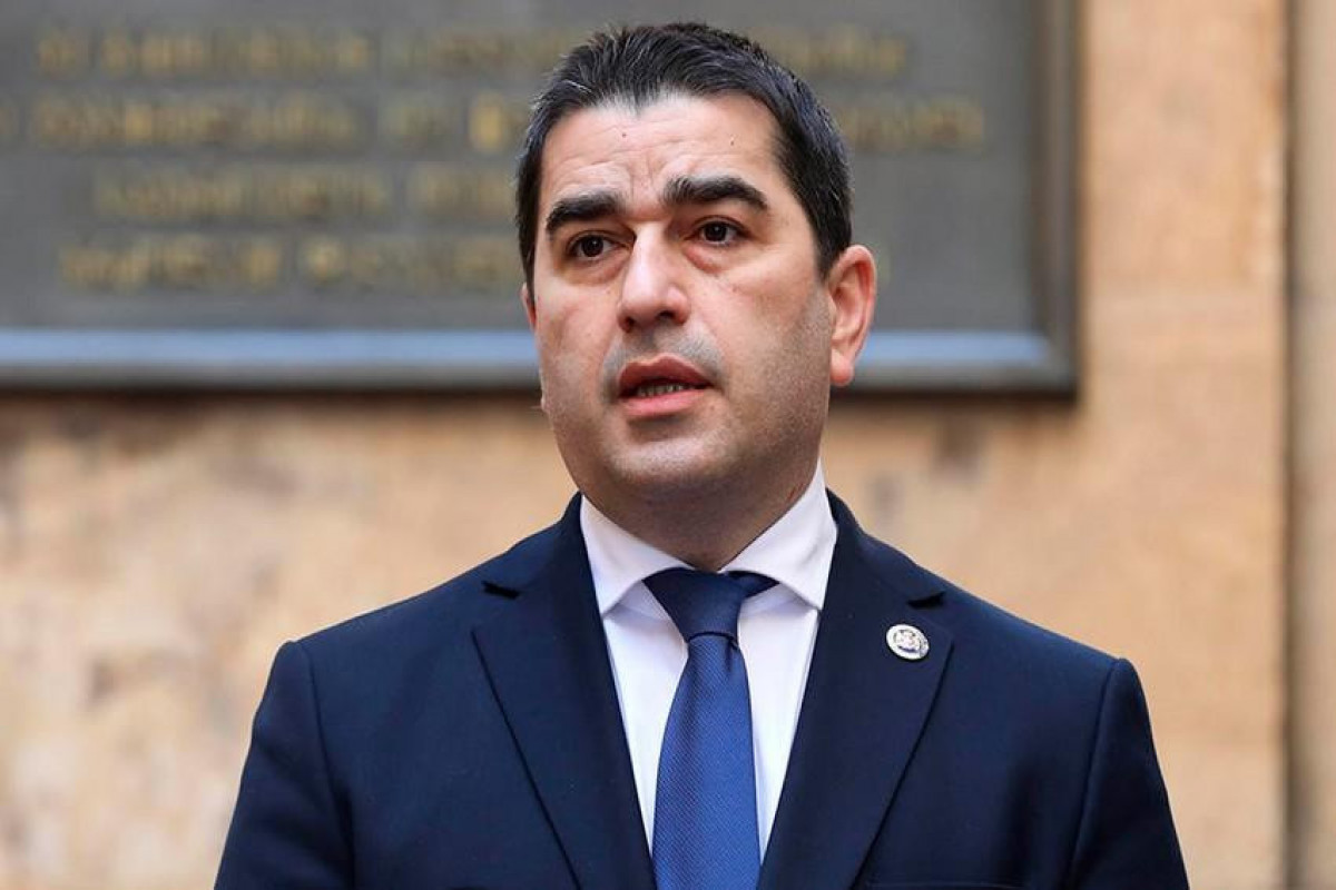 Spiker: ATƏT sədri Gürcüstan qanunvericiliyini pozub
