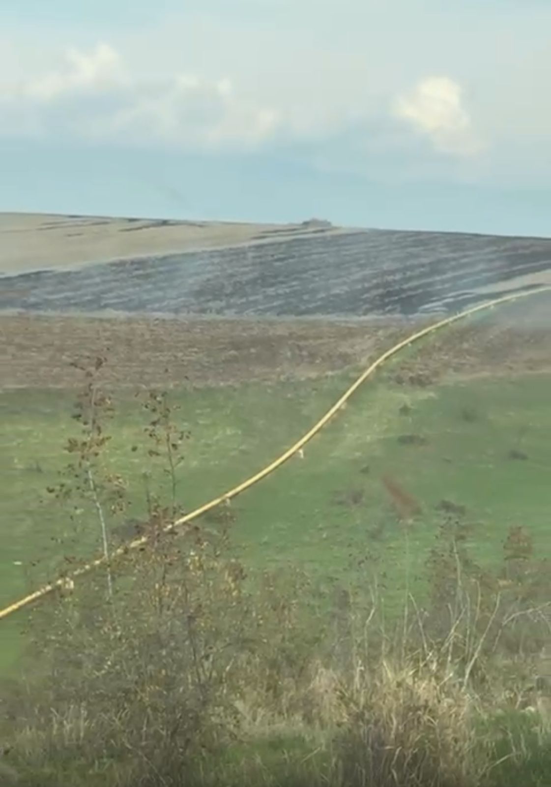 Oğuzda yanğın törədən şəxs məsuliyyətə cəlb olundu