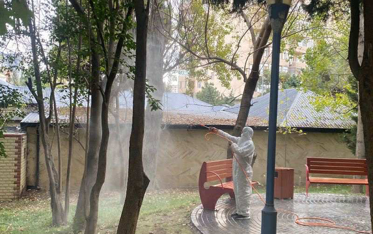 Paytaxtda müşahidə olunan qurdlar məhv edilir - FOTOLAR