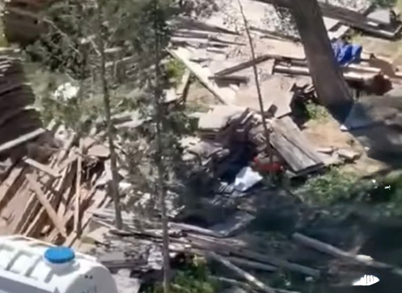 Sumqayıt şəhərində ağac kəsilmə faktı araşdırılır