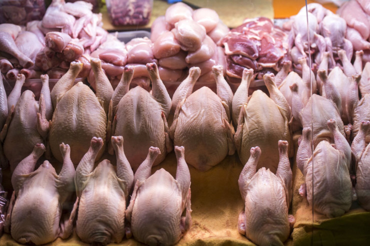 Toyuq ətinə tələbat artdı - qiymətlərə təsiri varmı? - VİDEO