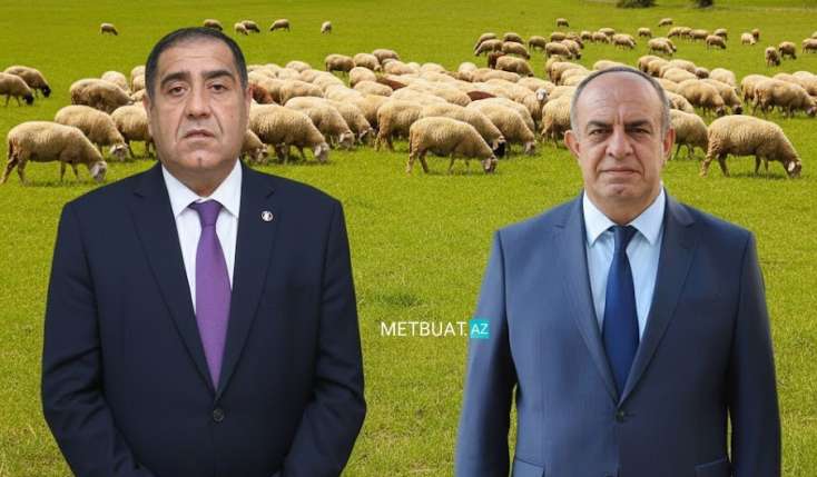 Həbs edilən icra başçıları ilə bağlı maraqlı - FAKT