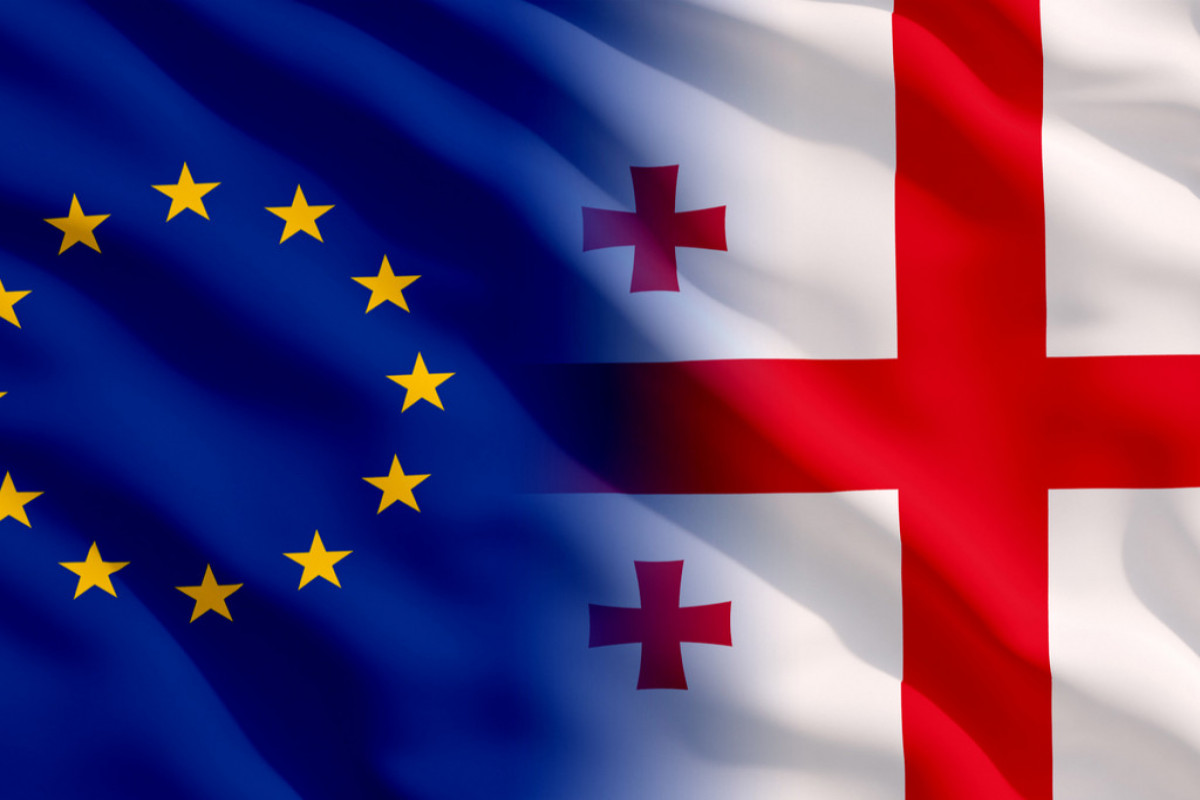 Gürcüstan XİN Avropa Komissiyasının hesabatını qərəzli adlandırıb