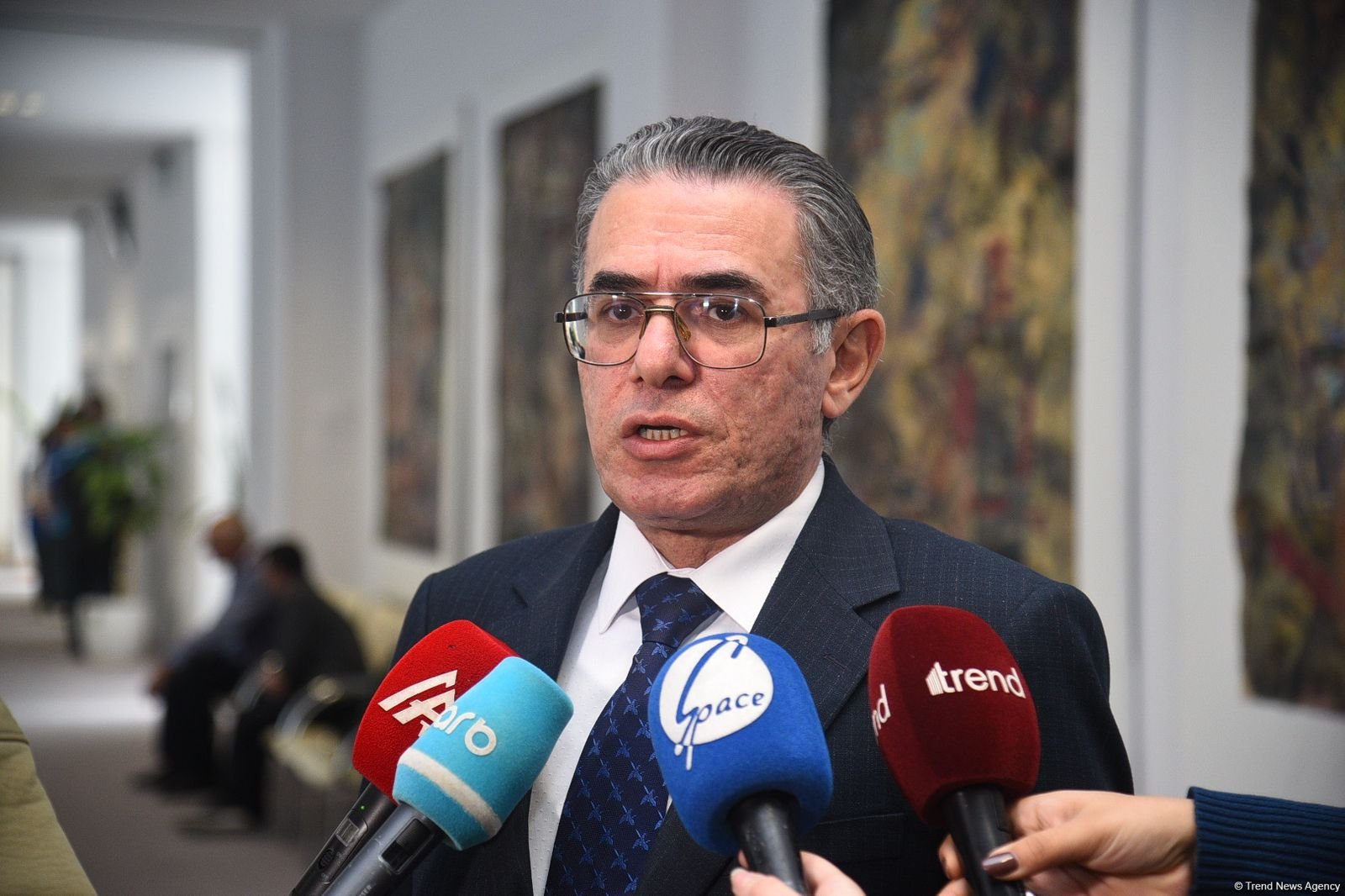 Natiq Məmmədli: Media öz işini dili qorumaq istiqamətində qurmalıdır